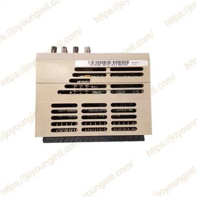 1C31181G01|„Westinghouse“ asmenybės modulis